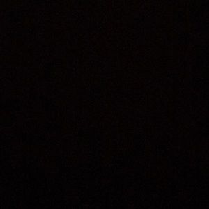 Meet your Posher, Raven